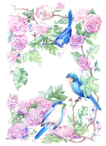 蓝色鸟在树枝上与玫瑰和叶子的水彩例证 — 图库照片