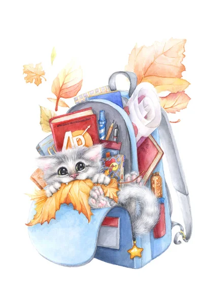 Aquarel Illustratie Met Blauwe Schooltas Schoolbenodigdheden Grijs Kitten Herfstbladeren — Stockfoto