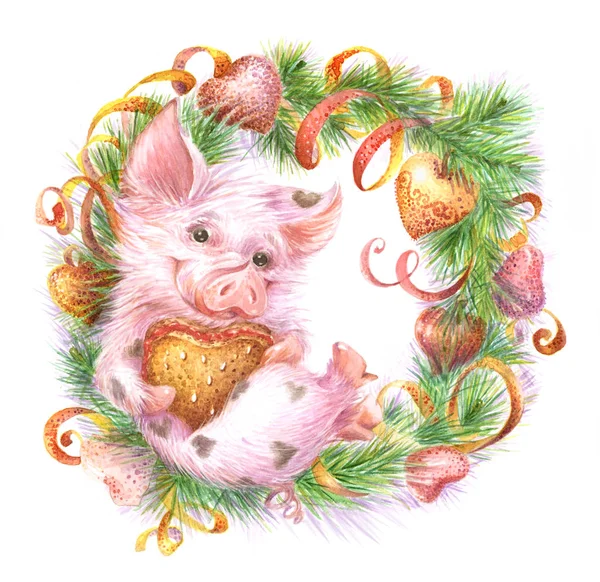 Watercolor Illustration Fluffy Pig Christmas Wreath — Stock Photo, Image