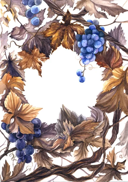 üzüm şube ve kuru yaprakları ile suluboya resim