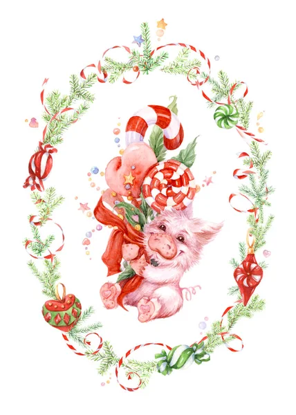 楕円形のクリスマス フレームでお菓子と豚の水彩イラスト — ストック写真