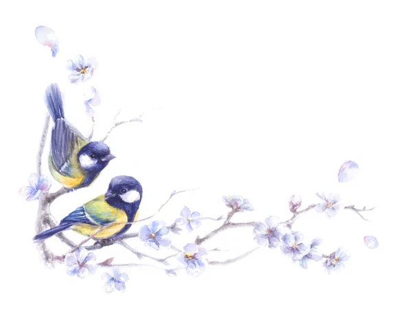 sulu boya resimde bahar dalları üzerinde kuşlar ile köşe