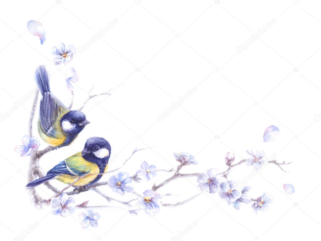 watercolor illustration with birds on spring branches, corner