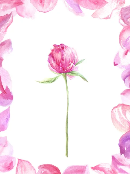 Aquarel Illustratie Met Pioenrozen Frame Rand Van Peony Bloemblaadjes — Stockfoto