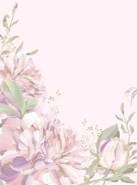 Vector Illustratie Met Roze Pioenrozen Florale Achtergrond — Stockvector