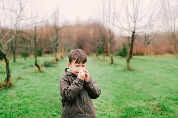 Çocuğun burnunu eşarp darbeler. Bir çocuğun alerji nedeniyle burun akıntısı. Anti çiçekli nedeniyle var. Bir çocuk (çocuk sümüklü burun).