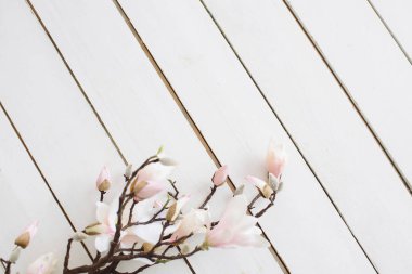 Beyaz ahşap zemin. Ahşap arka plan. Bir şube tomurcukları ve pi ile