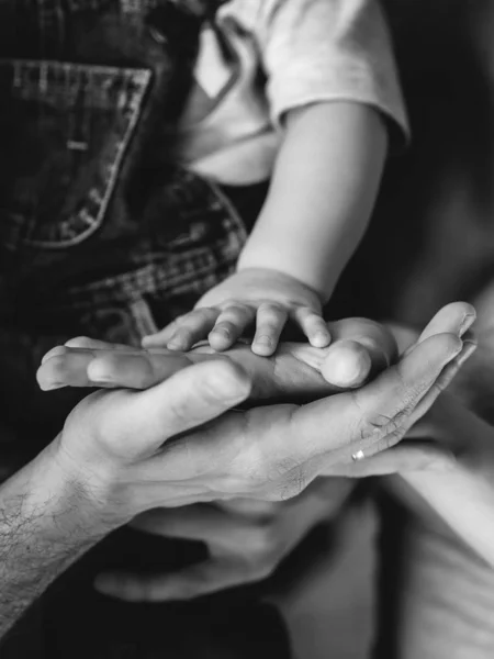 Anne ve babamın ellerinde küçük bir avuç içi. Anne, baba, bebeğim. Mutlu bir