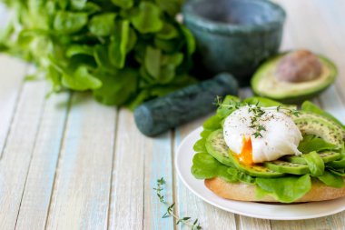 Yumurta-ciabatta ile haşlanmış, avokado ve bebek marul yaprakları.