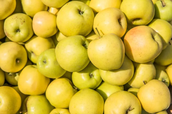 Gele Appels Close Achtergrond Zomerdag — Stockfoto