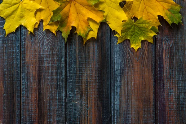 Herbst Farbige Blätter Von Oben Ansicht Kopieren Raum — Stockfoto