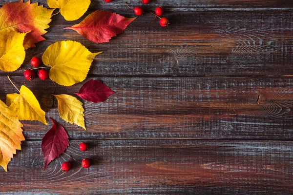 Üstten görünüm kopya alanı renkli sonbahar yaprakları.