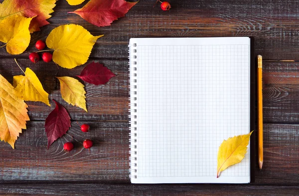 Üstten görünüm kopya alanı renkli sonbahar yaprakları.