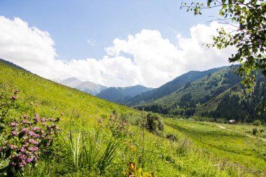 Tien Shan dağlarında, Almatı, Kazakistan Kaskelen gorge dağlar peyzaj.