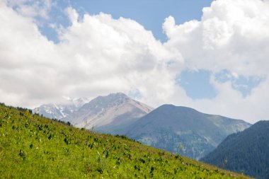 Tien Shan dağlarında, Almatı, Kazakistan Kaskelen gorge dağlar peyzaj.