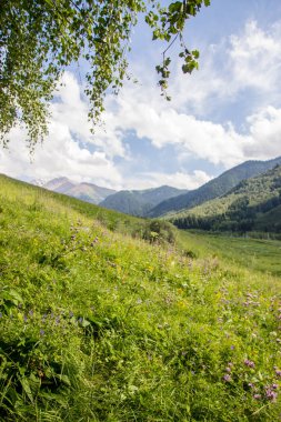 Tien Shan dağlarında, Almatı, Kazakistan Kaskelen gorge dağlar peyzaj.