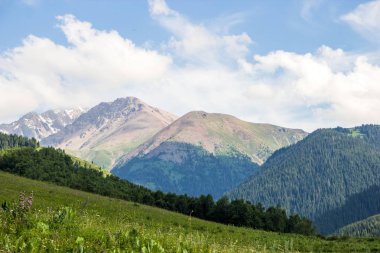 Tien Shan dağlarında, Almatı, Kazakistan Kaskelen gorge dağlar peyzaj.