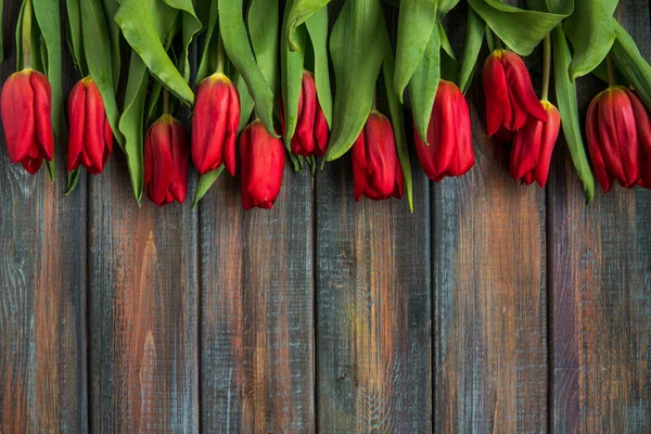 Vista Superior Tulipanes Rojos Con Espacio Copia — Foto de Stock