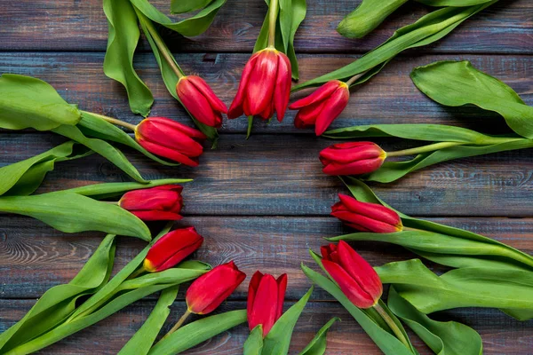 Tulipanes Rojos Espacio Copia Para Texto — Foto de Stock