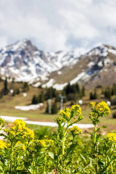 Shymbulak Skigebiet Frühling Der Nähe Der Stadt Almaty Kasachstan — Stockfoto