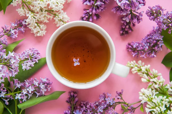 Csésze teát lila virág a rózsaszín háttér — Stock Fotó
