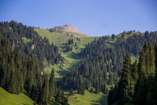 Montañas en Almaty, Kazajstán. Soleado día de verano en el mountai —  Fotos de Stock