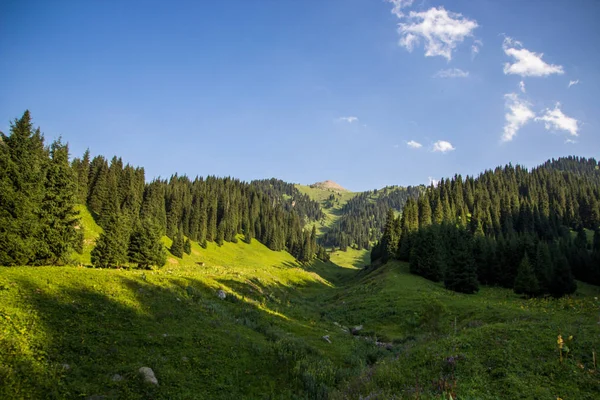 Горы в Алматы, Казахстан. Солнечный летний день в горах — стоковое фото
