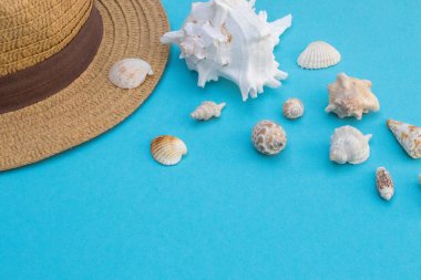 Mavi arka planda şapka ve kabuklar, yaz havası