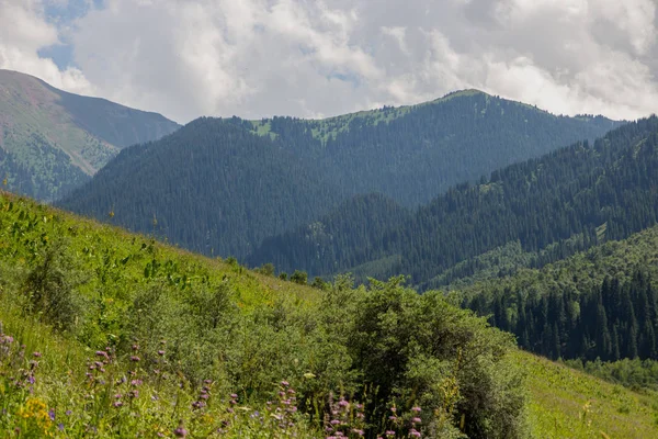 カザフスタン、アルマトイ市の近くの山々。ムーの夏 — ストック写真
