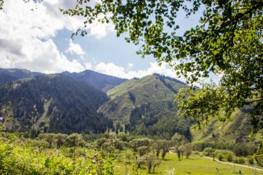 Almaty, Kazakistan kenti yakınındaki dağlar. Mou yaz