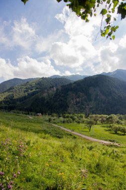 Almaty, Kazakistan kenti yakınındaki dağlar. Mou yaz