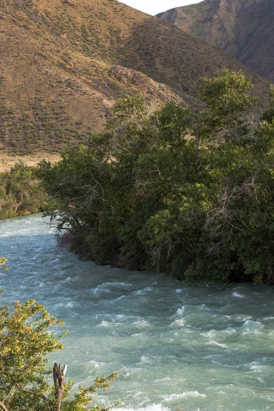 Stürmischer Chili-Fluss in den Steppen Kasachstans — Stockfoto