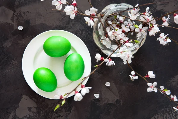 Ostergrüne Eier auf weißem Teller und Frühlingsblütenzweig — Stockfoto