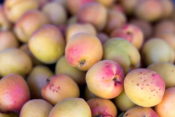 Verse aricot op een rustieke Bazaar. Rijpe biologische abrikoos — Stockfoto