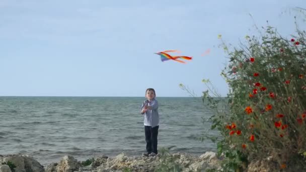 Child Stands Beach Plays Kite Games Entertainment Young Kid — Stock Video