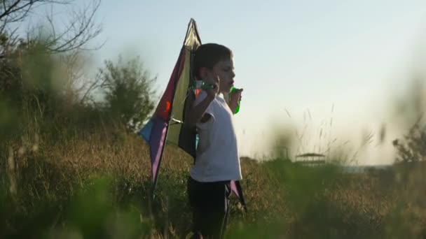 Jongen Jongen Spelen Met Bonte Kite Tegen Zomer Landschap Achtergrond — Stockvideo