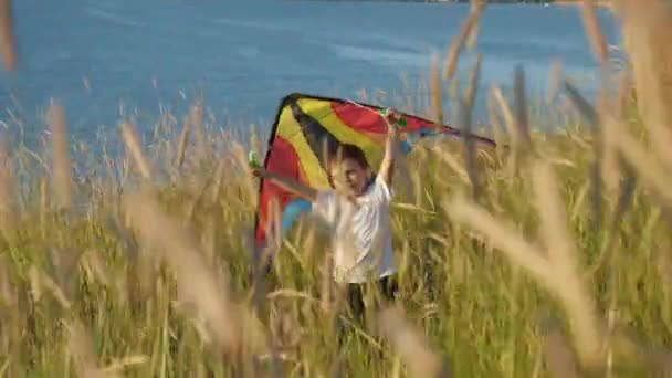 Fin Semana Niños Jugando Con Cometa Colorida Playa — Vídeo de stock