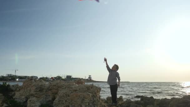 子供たちのスポーツ ゲーム カラフルな凧をあげて少しのキッド少年コントロール 海空雲日夏休み — ストック動画