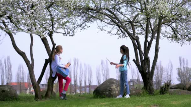 Dos Amiguitas Divertidas Tocan Guitarra Orquestan Conducen Palo Aire Libre — Vídeo de stock