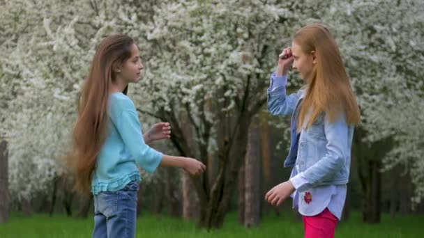 Dos Amigas Divertidas Pelo Rubio Castaño Juegan Con Pelo Haciendo — Vídeos de Stock