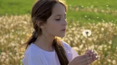 kavram yenilenebilir enerji kaynakları rüzgar enerjisi. küçük kız parkta günbatımında yorgunluk üfleme karahindiba. şişmiş ve rüzgara karşı yeşil alan tarafından dağınık tohumları.