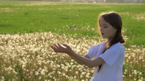 かわいい女の子は タンポポの種が風になびいて種子を離れた吹く手にしてください 美しい太陽のバックライト 新しい生活を始めるの概念 — ストック動画