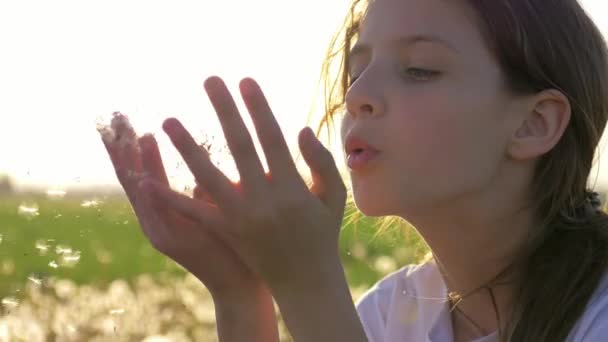 Bellissimo Inizio Primavera Una Nuova Vita Carina Bambina Raccogliere Semi — Video Stock