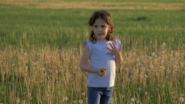 つの素敵な妹は フィールドにタンポポの花を収集します 女の子を吹いてタンポポ飛んで種子粒子 花時間春は 新しい生活を始める — ストック動画
