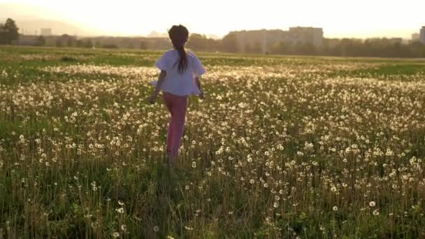 Zomervakantie Aantrekkelijk Meisje Loopt Springt Het Veld Met Paardebloemen Plezier — Stockvideo