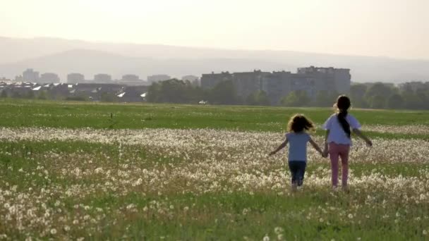 Summer Vacation Sisters Running Dandelions Field Joy Lucky Childhood Return — Stock Video