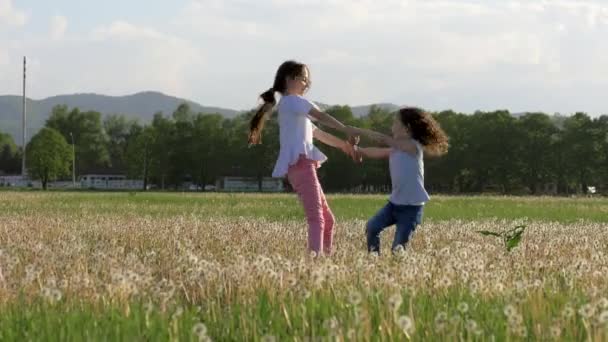 幸せな夏の休日 つの小さな姉妹屋外都市公園におけるたんぽぽ類の空き地の旋回手を繋いで楽しい時を過します 喜びと安全性の概念 — ストック動画