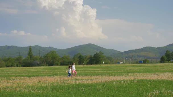 Two Little Joyful Sisters Playing Dandelions Field Happy Small Girls — Stock Video