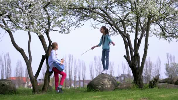 Zwei Schulfreundin Probten Auftritt Spielen Mini Orchester Der Natur Konzept — Stockvideo