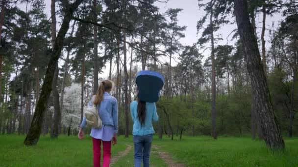 小女友们正走在一个大公园里 肩上拿着声学吉他 美丽的森林小路 孩子们在远处外向 情绪和喜悦 — 图库视频影像